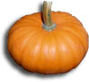 pumpkin2.jpg
